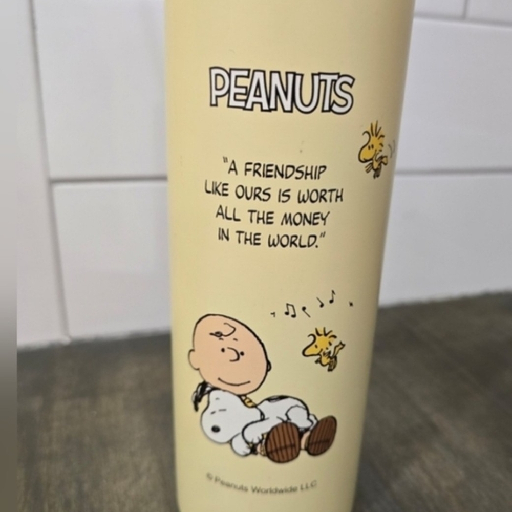 Peanuts  Friendship Quote Tumbler, 20oz, Like New